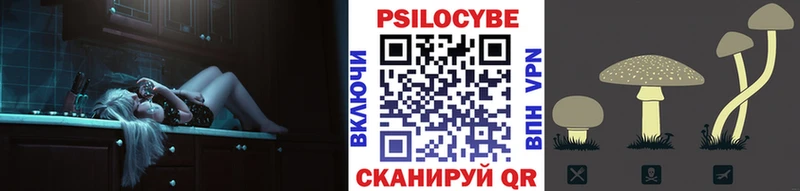 Галлюциногенные грибы GOLDEN TEACHER  Купить  Бакал 