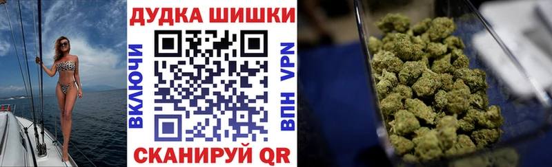 Купить где  Бакал  МАРИХУАНА планчик 